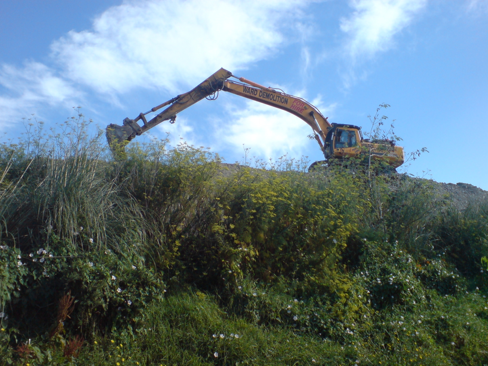 Excavator near Waikaraka, Auckland