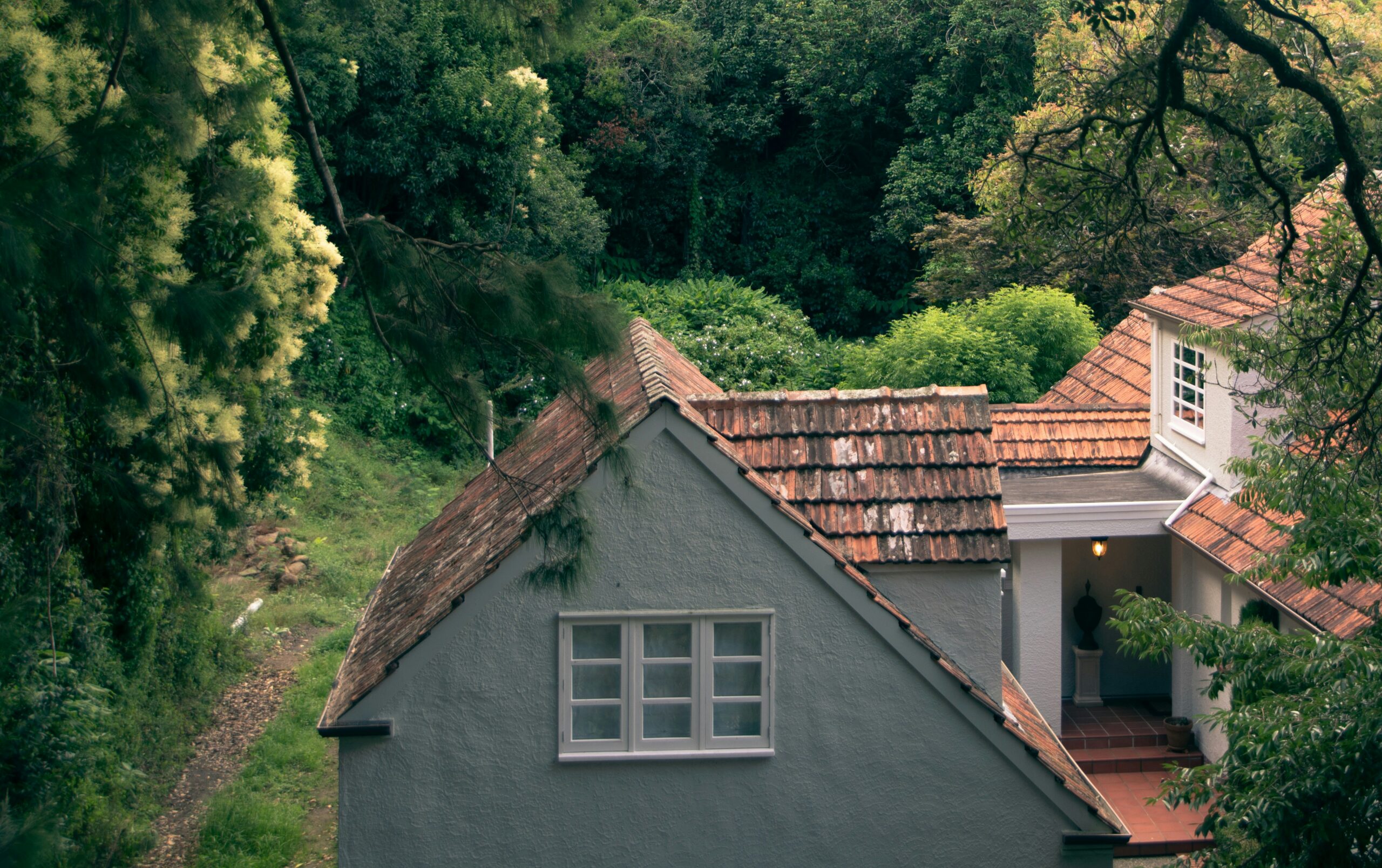 Auckland red tiled roof among trees