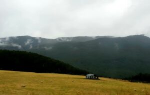 A rural New Zealand landscape with a small farm building beneath wooded hills