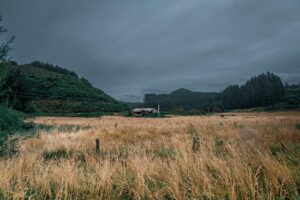 An unoccupied building in a grassy field near Rotorua