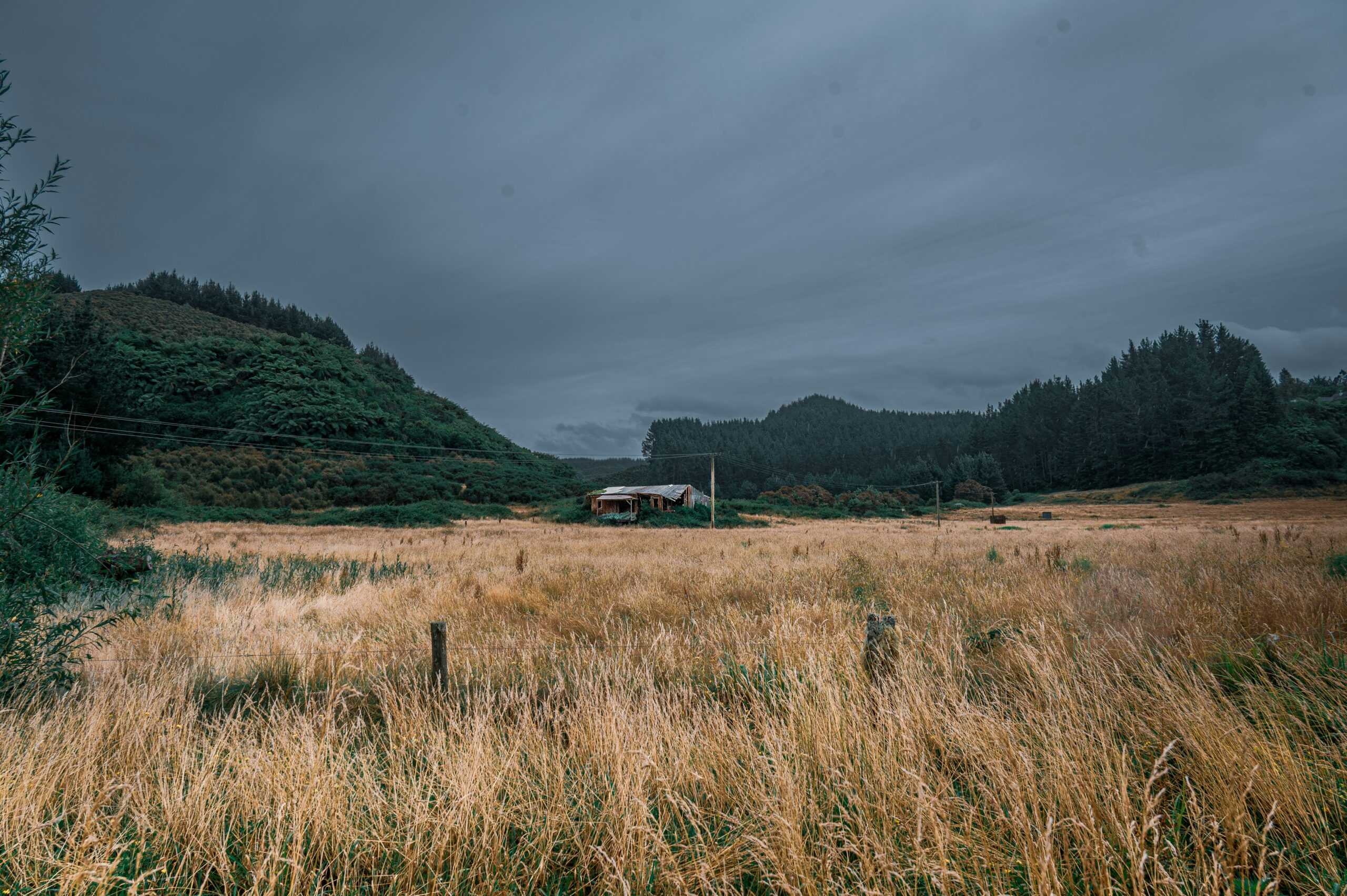 An unoccupied building in a grassy field near Rotorua